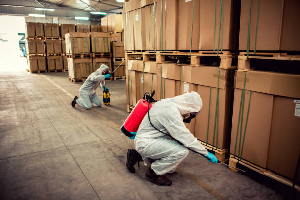 Best Best Pest Control Companies  in Weigelstown, PA