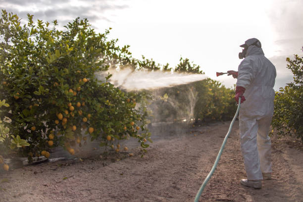 Best Mosquito Control Services  in Weigelstown, PA